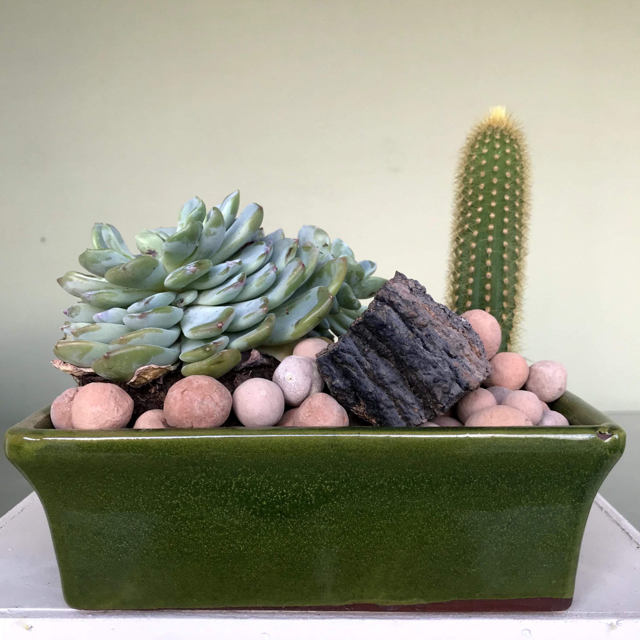 Rectangular Cactus Pot 19x13x7cm Indoor pots Pots Windy Ridge